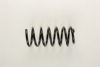 VW 191411105AD Coil Spring